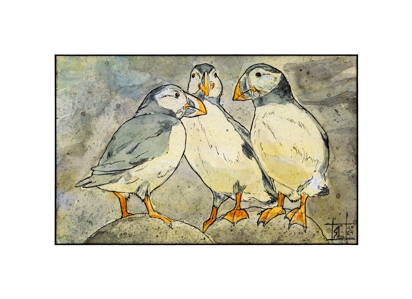 Puffins