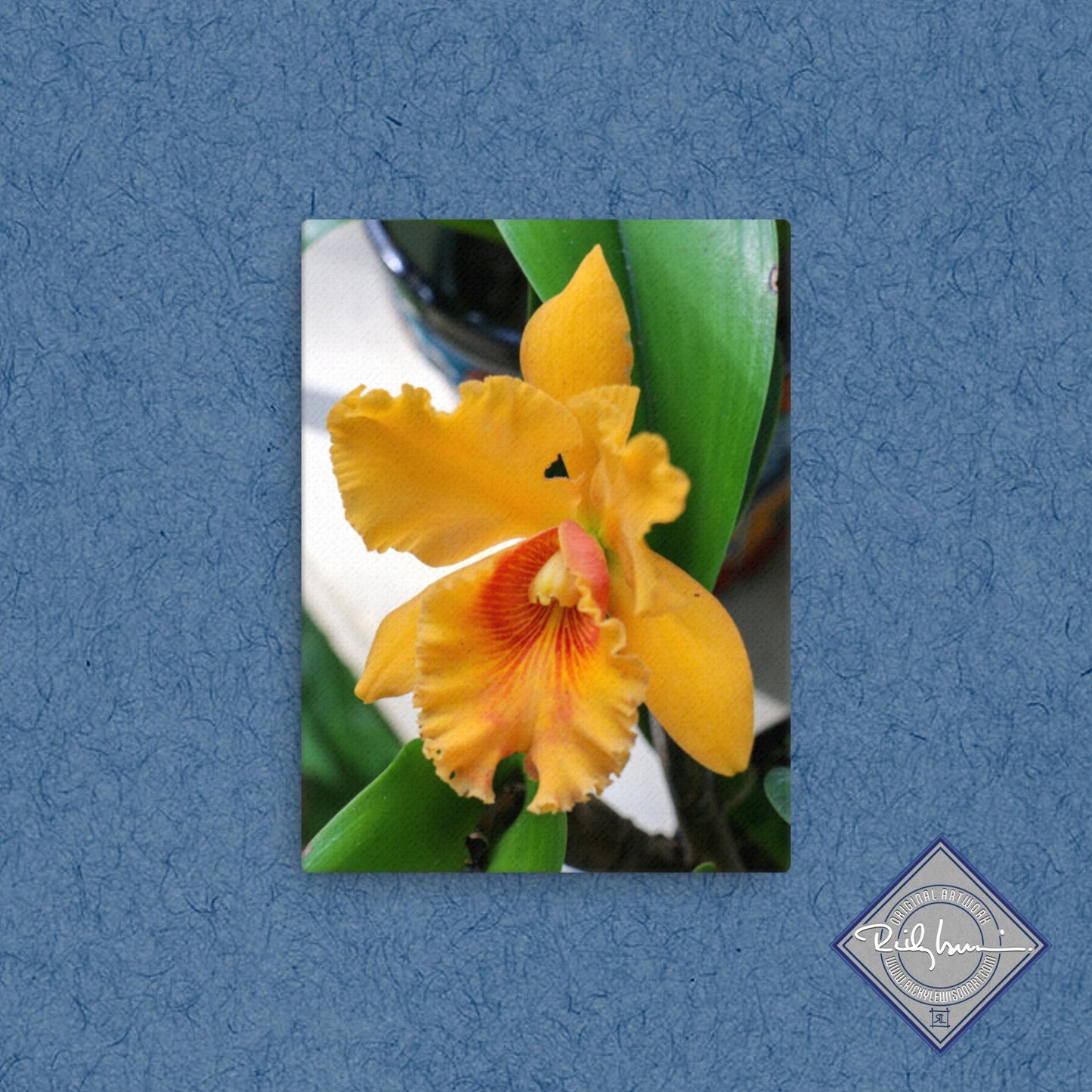 Orange Orchid
