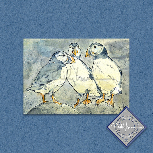 Puffins