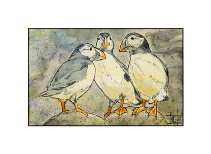 Puffins